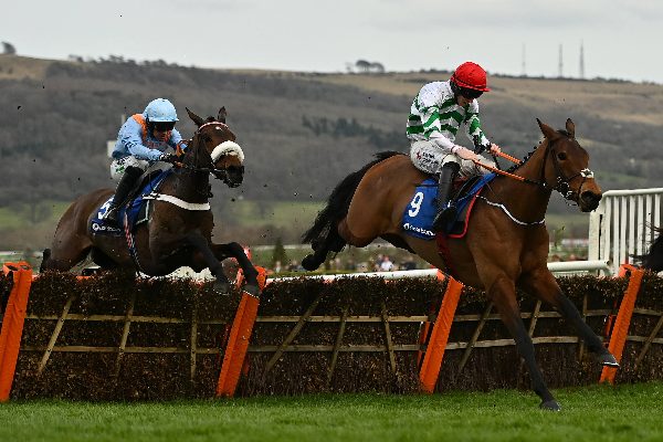 mares-hurdle mares-hurdle