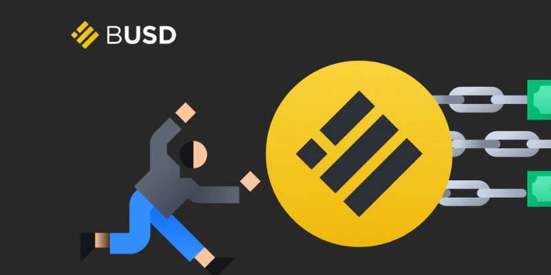 what-is-busd what-is-busd