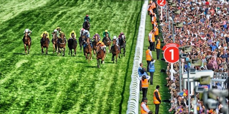 biggest-horse-racing-events-in-the-world biggest-horse-racing-events-in-the-world