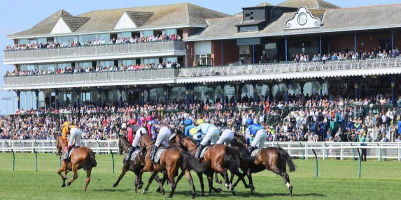 coral-scottish-grand-national coral-scottish-grand-national