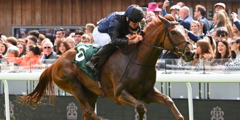 major-horse-racing-events-boodles-may-festival major-horse-racing-events-boodles-may-festival