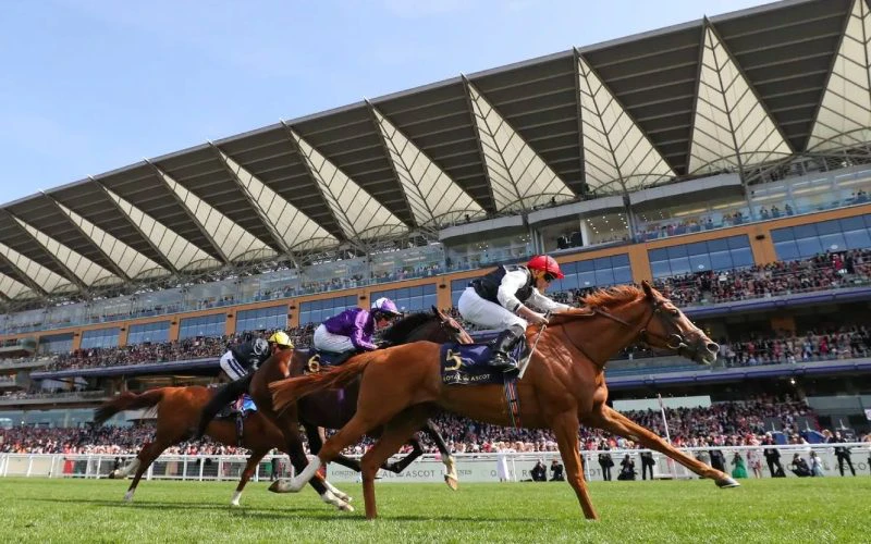 royal-ascot royal-ascot