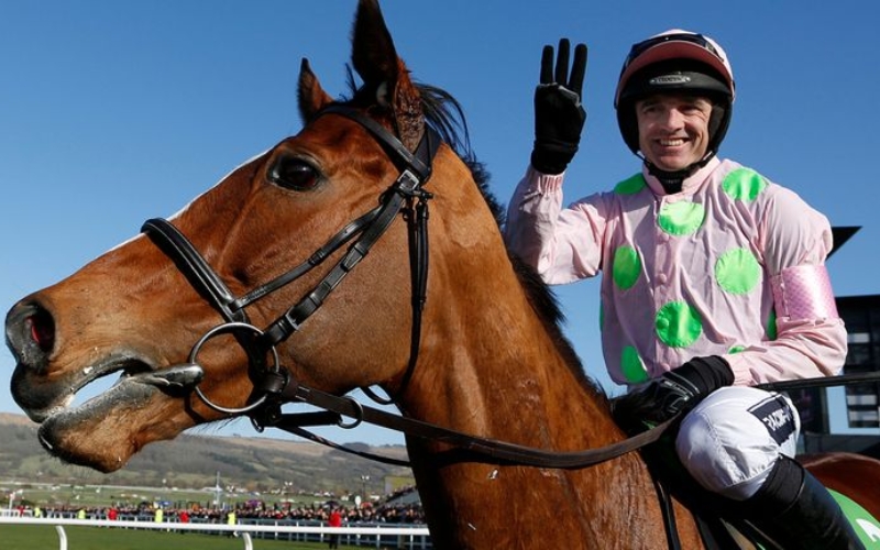 ruby-walsh ruby-walsh