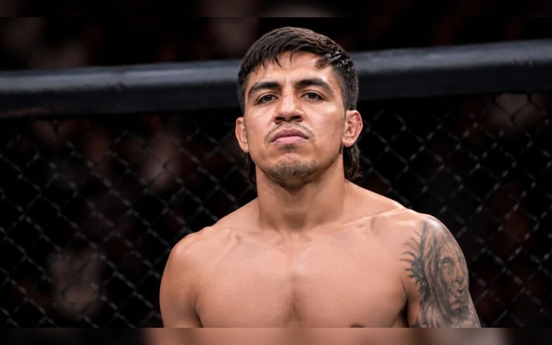 noche-ufc-prediction-jean-silva-jose-miguel-jose-delgado