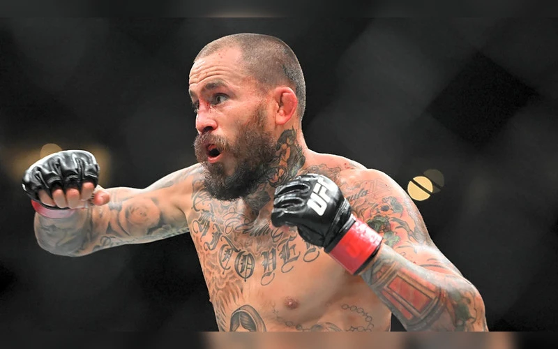 ufc-331-predictions-joshua-van-vs-pantoja-marlon-vera